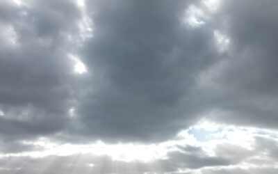 Weiterleben