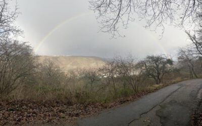 Lebens-Regenbogen