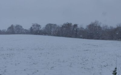 SchneeStille