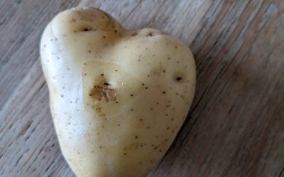 Kartoffel mit Herz