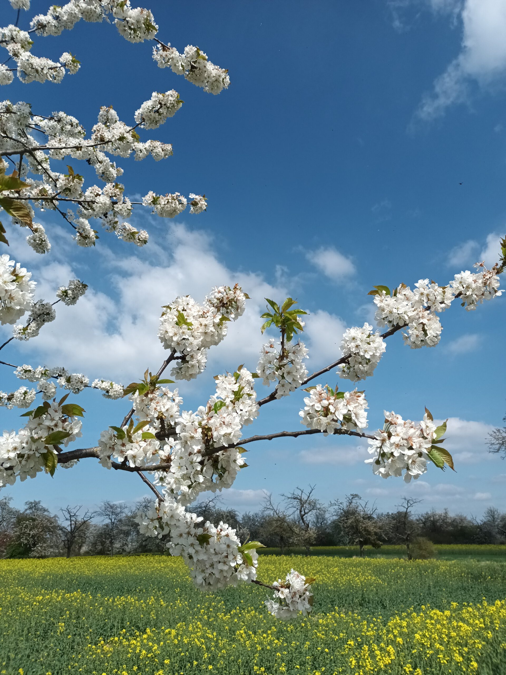 Eigentlich gezittert & gereimt