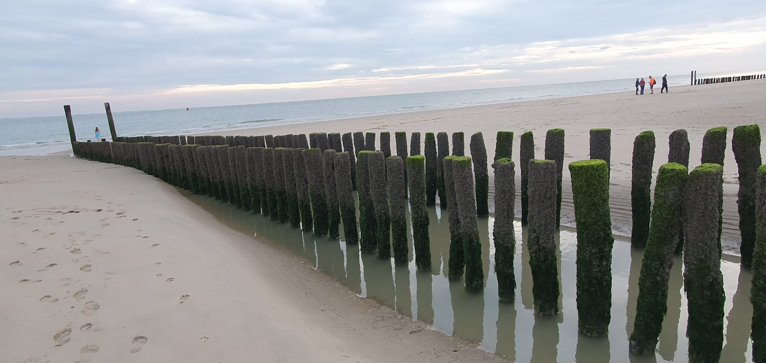 Wie kann gezittert & gereimt