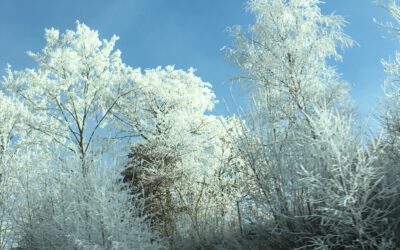 WeihnachtsZauberWelt