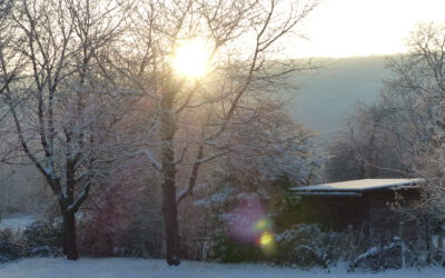 Verloren gegangene WeihnachtsZauberHoffnungsZeit