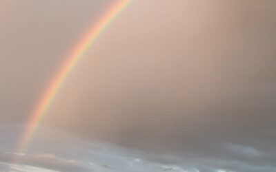 Trauriger Regenbogen