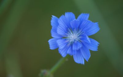 Maßstäbe