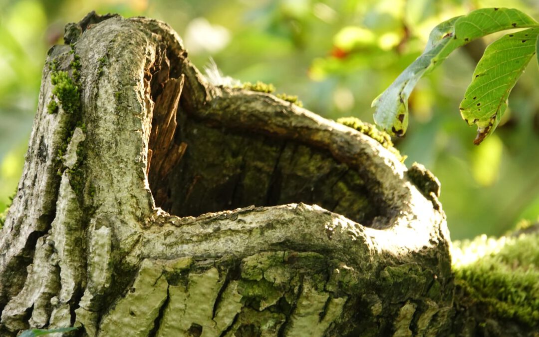 Der Bildhauer unseres Lebens