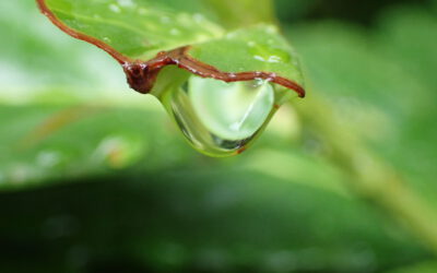 Vom Himmel ein Stück 